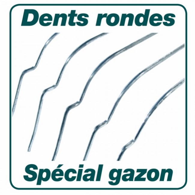 balai-a-gazon-xfil-368121-5.jpg LEBORGNE