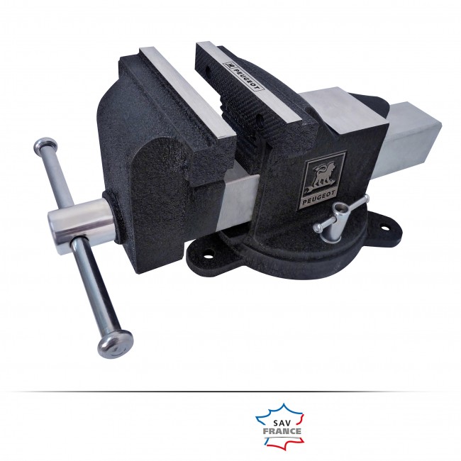 100705-dt.jpg PEUGEOT