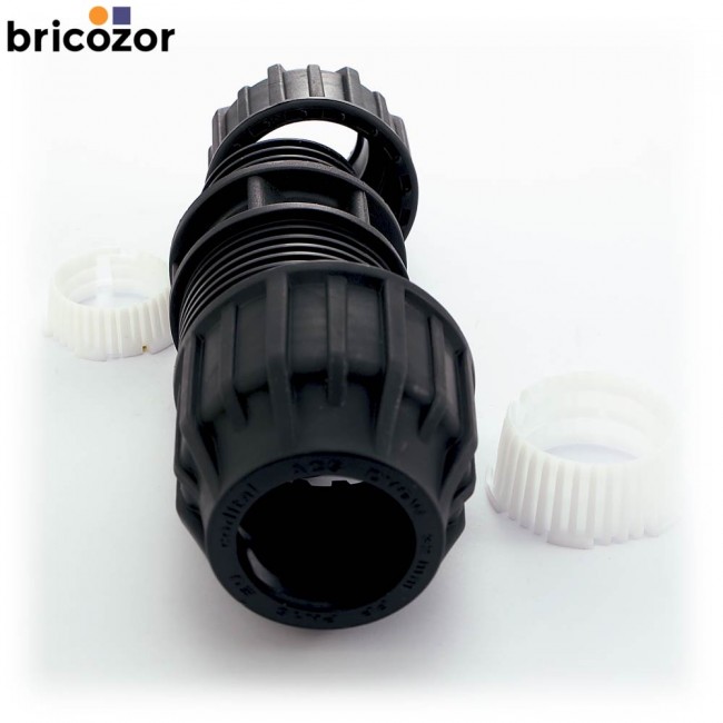 4_E8_373808_00282.jpg CODITAL