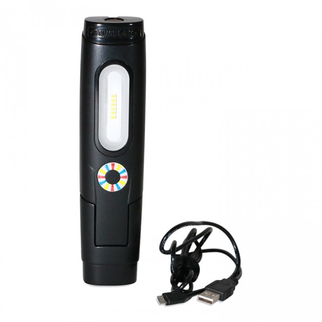 Elwis-D2-14052-baladeuse-led-bricozor.jpeg ELWIS