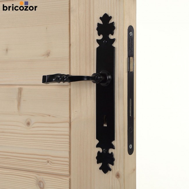 35_2023_06_07_BOUVET_BOURGOGNE_FER_NOIR_302889_00003_BRICOZOR.jpg BOUVET