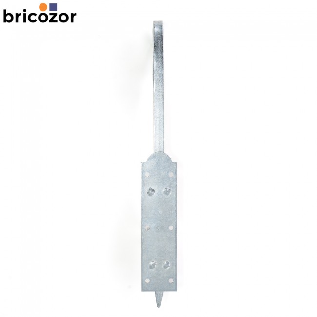 3_A2_180998_BZ_6492.jpg BRICOZOR