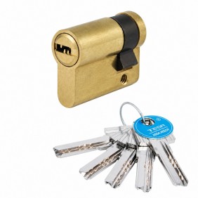 Demi cylindre - 30 x 10 mm - T 60 - varié - laiton poli TESA Sécurité
