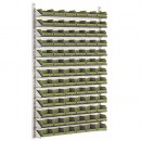 I816823-500.jpg SCHAEFER