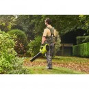 Harnais : ceinture 2 en 1 pour batterie 36V MAX POWER - RY36BB2PA-0 - Bricozor 4.jpg RYOBI