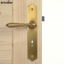 61_2023_06_08_BOUVET_NEVERS_LAITON_PATINE_111831_00004_bricozor.jpg BOUVET