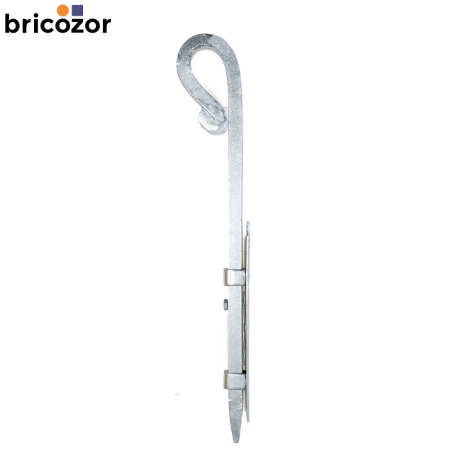 2_A2_180998_BZ_6491.jpg BRICOZOR