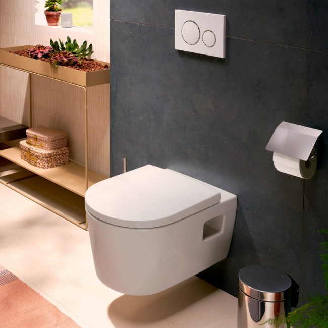 pack-wc-suspendu-elupura-original-s-hansgrohe (1).jpg HANSGROHE