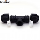 2_B2_373941_00094.jpg CODITAL