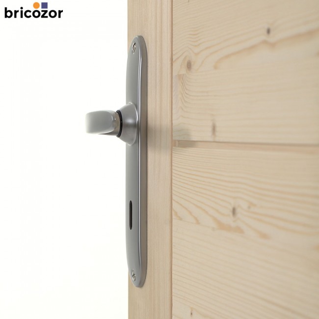 47_2023_06_07_VACHETTE_JAZZ_CHROME_VELOURS_496999_00006_BRICOZOR.jpg VACHETTE