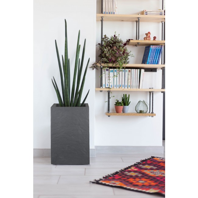 13719 G-ANT Ambiance (1).jpg EDA PLASTIQUES