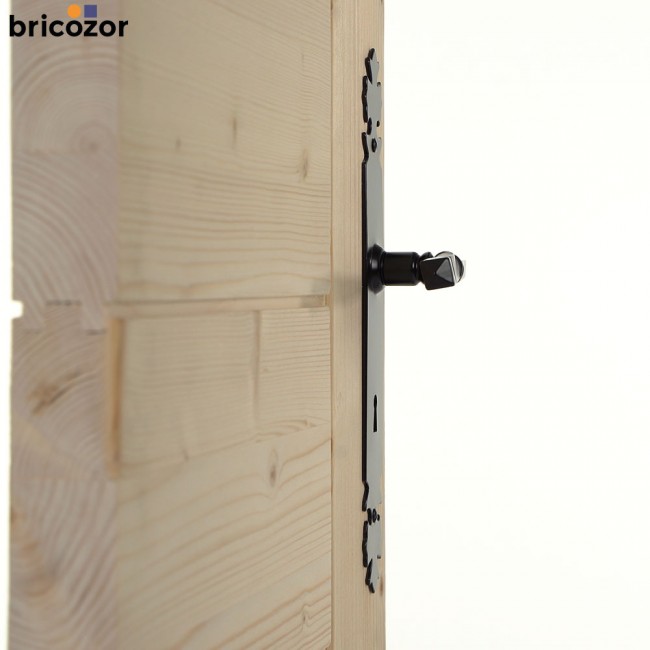 35_2023_06_07_BOUVET_BOURGOGNE_FER_NOIR_302889_00005_BRICOZOR.jpg BOUVET