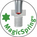 LOGO_MAGICSPRING.jpg