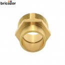 67f375a682675.jpg BRICOZOR