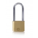 Cadenas en laiton - 30 mm - anse acier cémenté - avec 3 clés YALE
