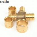 4_B1_BOUT3182432_00282.jpg BOUTTÉ