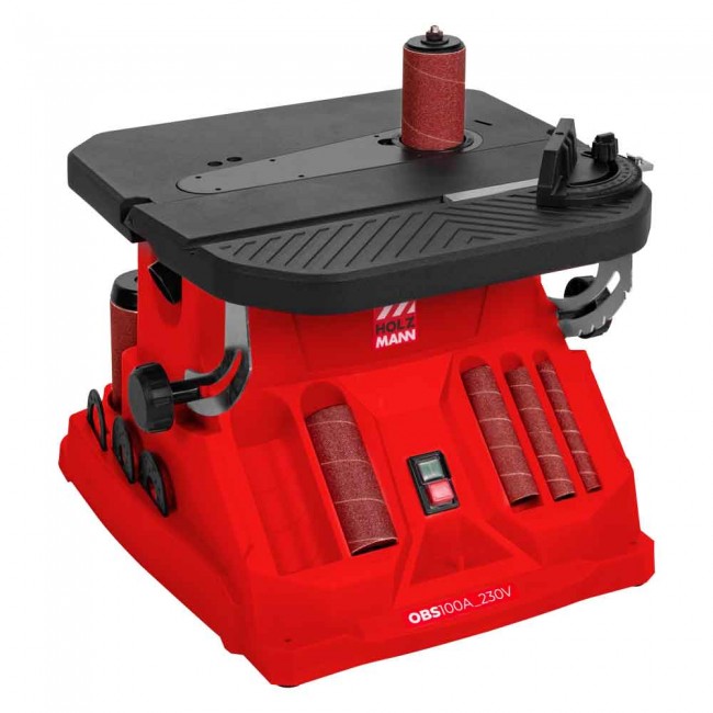 PHOTO OBS100A-4.jpg HOLZMANN