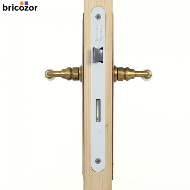 61_2023_06_08_BOUVET_NEVERS_LAITON_PATINE_111831_00002_bricozor.jpg BOUVET