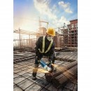 AFD_222945_.jpeg BOSCH