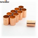 1_C2_732475_00000.jpg BRICOZOR