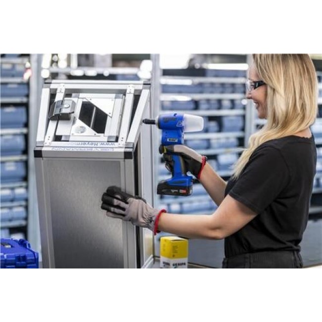 csm_Birdie_ap-01_57a96e5686.jpg GESIPA