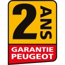 132345-4-dt-45.jpg PEUGEOT
