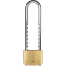 61fqqTZQKYL._AC_SL1500_.jpg YALE