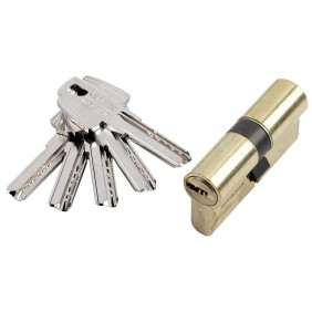 Cylindre double à profil européen varié - T60 - laiton poli TESA Sécurité