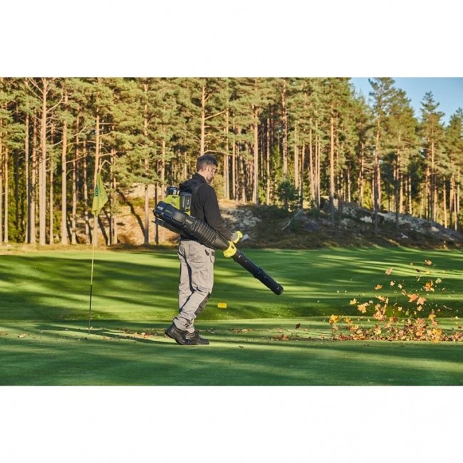 RY36BPXB-0--App_1.jpeg RYOBI