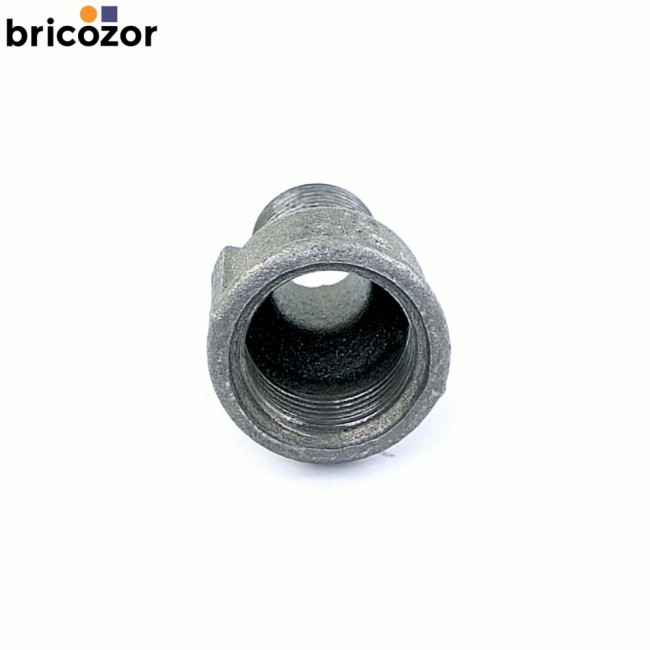 2_D6_Z14093_00093.jpg CODITAL