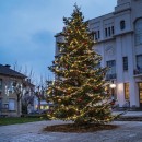 pm_11812_443_443776-i7wetyd6bl-800.jpeg FESTILIGHT