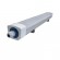 Réglette LED étanche RAGA 4000K IP65