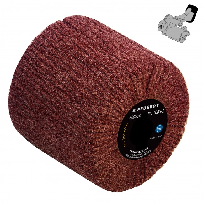 Brosse fibres synthétiques abrasive - pour rénovateur EnergyBrush-18VBL - Bricozor 1.jpg PEUGEOT