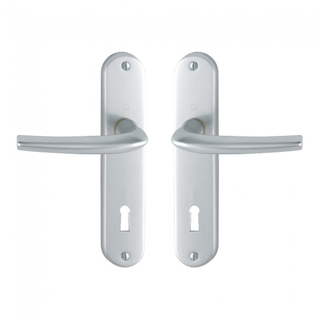 Ensemble-poignees-porte-petites-plaques-cle-I-san-diego-argent-hoppe.jpg HOPPE