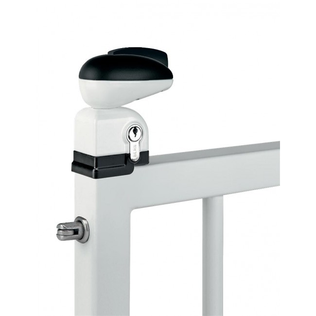 pm_11812_104_104389-y1p5m834gr-whr.jpg LOCINOX