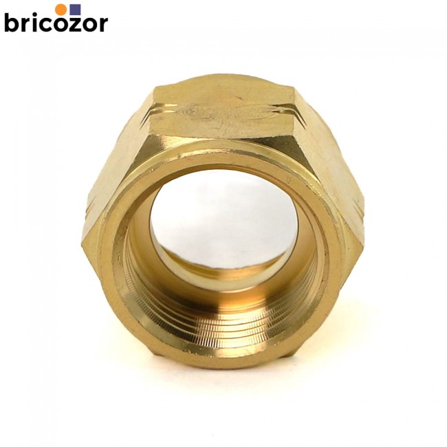 680899a2acc6f.jpg BRICOZOR