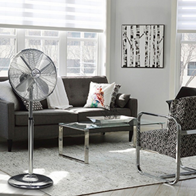 112026-2-dt-10.jpeg FARELEK