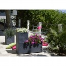 13730-13731-g-ant-ambiance-1-jpg-square-1000x1000.jpg EDA PLASTIQUES