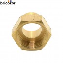 67f375b5c799a.jpg BRICOZOR