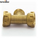 3_C6_221504_00187.jpg BRICOZOR