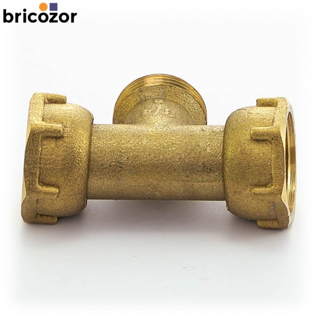 3_C6_221504_00187.jpg BRICOZOR