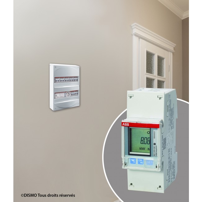 ABB832111GSB_ambiance.jpg ABB