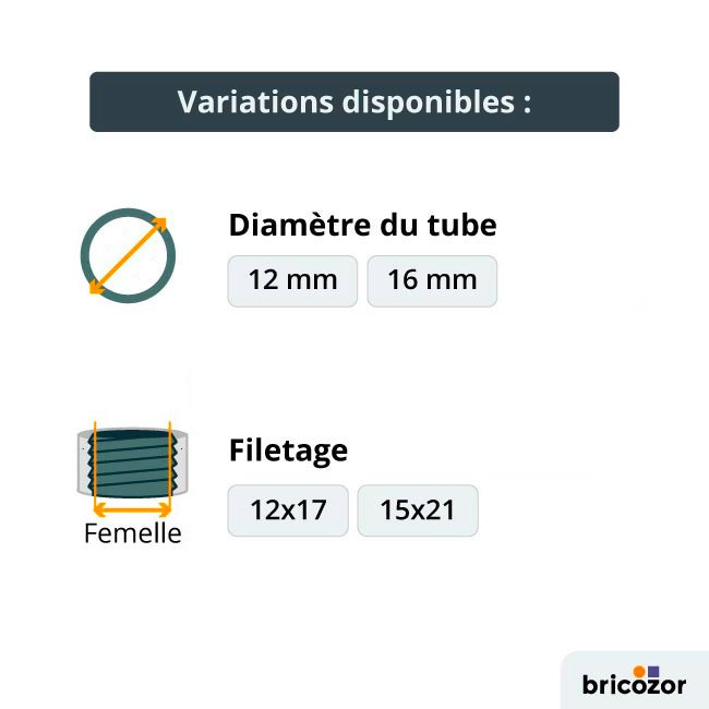 variation-raccords-PER-femelle.jpg BOUTTÉ