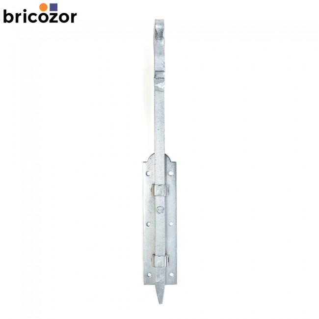 1_A2_180998_BZ_6490.jpg BRICOZOR