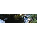 spot nautilus spike xl bassin.jpg SLV