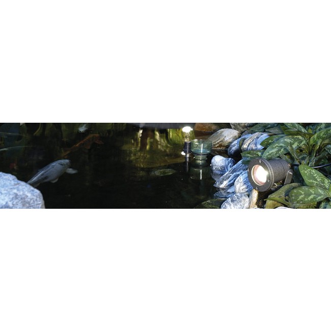spot nautilus spike xl bassin.jpg SLV