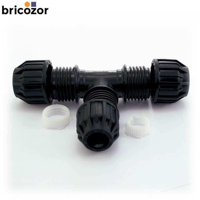 1_E4_373920_00000.jpg CODITAL