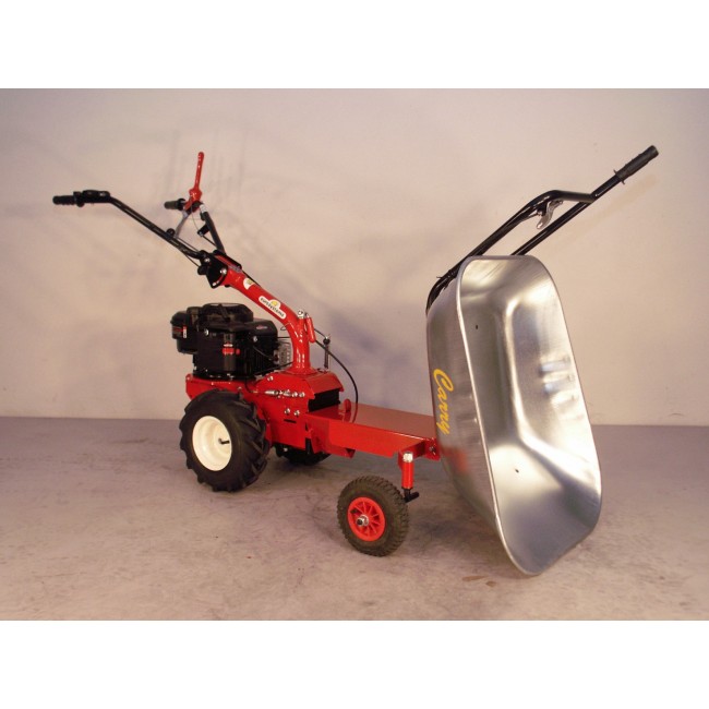 P55 CARRY B&S 2.jpg EUROSYSTEMS