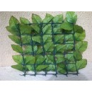 haie-rosier-verso.jpg JET7GARDEN