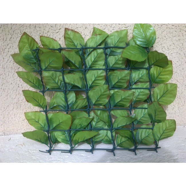 haie-rosier-verso.jpg JET7GARDEN